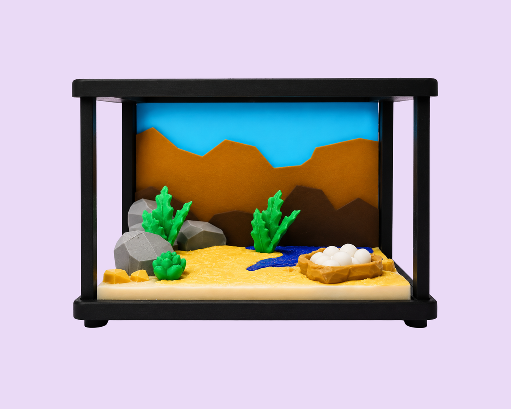 Schildkröten Spielset mit Terrarium – 3D Druck Swiss Made