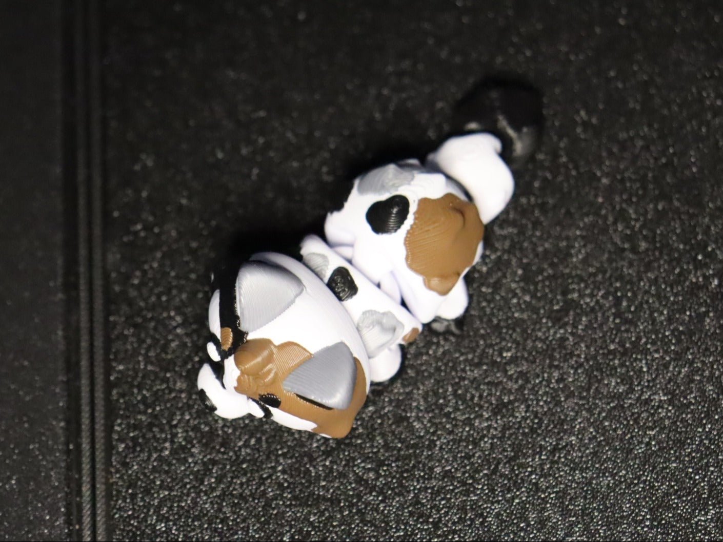 Katzen - Protoplot3D