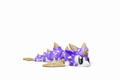 ProtoDrache IceCream – 3D Druck Drache – beweglich – Eis Drache – Spielzeug – Swiss Made - Protoplot3D